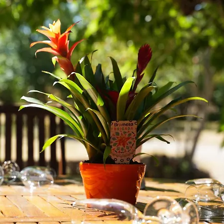 Hotel del amor Ile Des Plaisirs - Intimiste Adultes Avec Prive