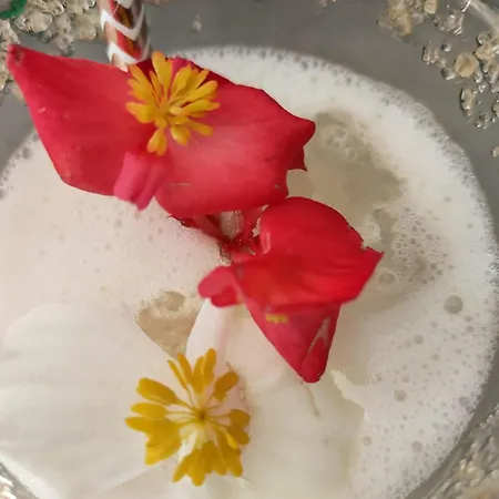 Ile Des Plaisirs - Intimiste Adultes Avec Prive * Graulhet